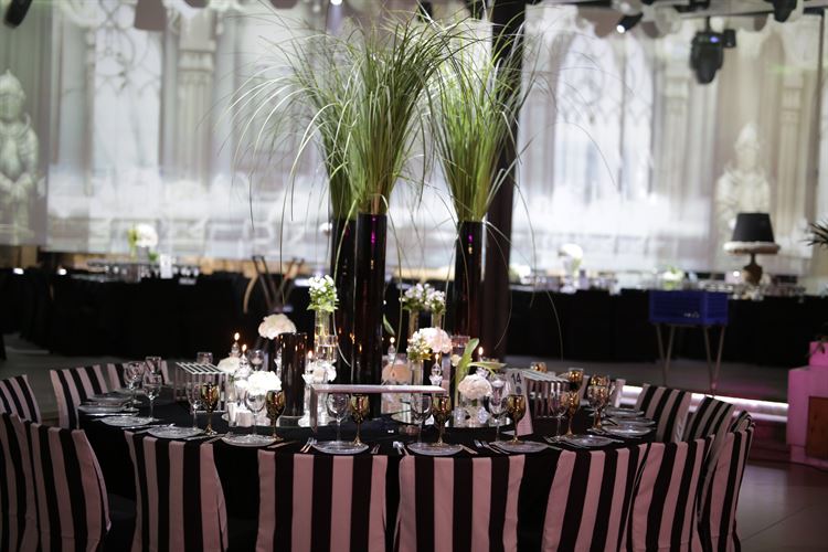 הזוג שקיבל את ה'טייטל' שכל חתן וכלה רוצים 3