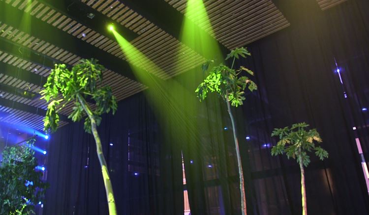 נמצא האירוע הכי שווה של עונת החתונות 3