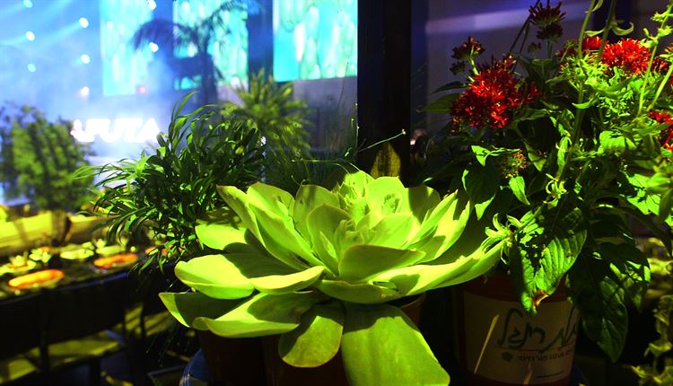 נמצא האירוע הכי שווה של עונת החתונות 4