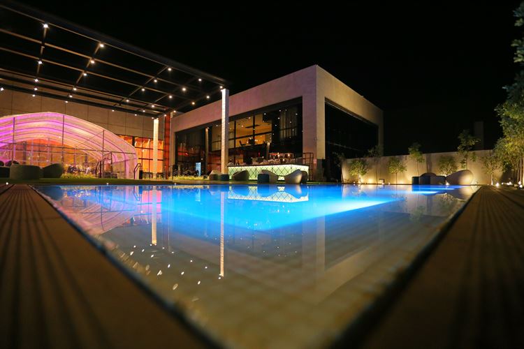 מידידות לאהבת אמת: הסיפור שמאחורי הזוגיות המפתיעה 18