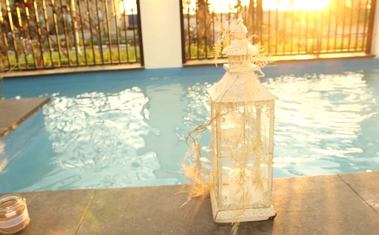 אזהרה: הסרטון הבא עלול לגרום לכם להתאהב 5