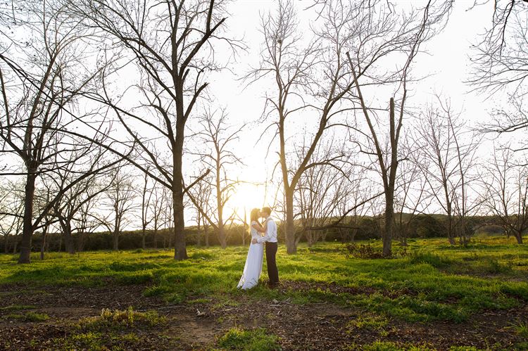 ללא מילים: הצעת נישואים קצת אחרת 8