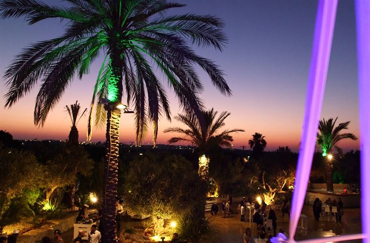 קבלו אותה: החופה הכי יפה שראיתם עד היום 7