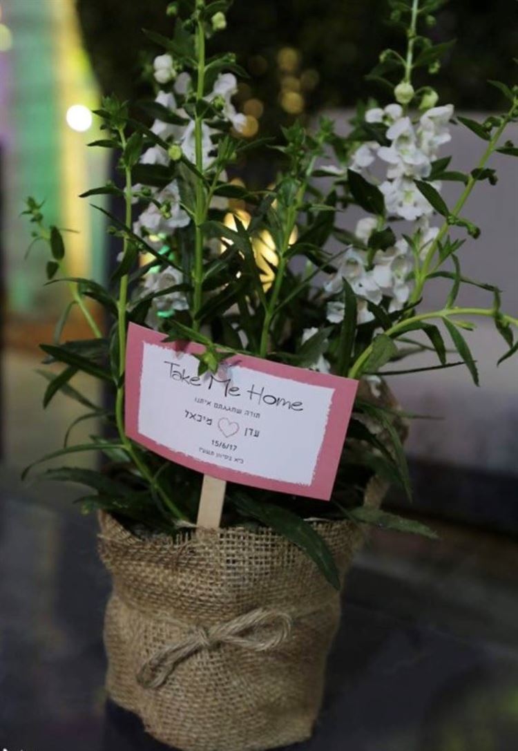 הצעת נישואים מרגשת בהופעה של קולדפליי 16