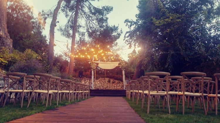 הכירו את המעצב הכי מבוקש בגני האירועים 15