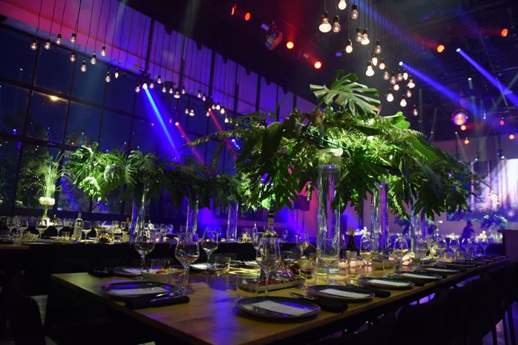 הכלה המחויכת שתפתח לכם את היום בכיף 11