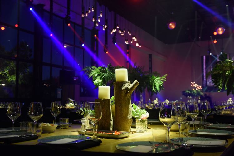 הכלה המחויכת שתפתח לכם את היום בכיף 14