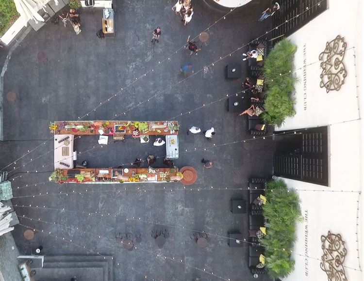 צפו: כשאולם האירועים הופך ליער טרופי 7