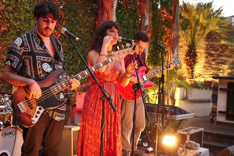 צפו: כשאולם האירועים הופך ליער טרופי 14