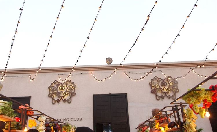 צפו: כשאולם האירועים הופך ליער טרופי 4