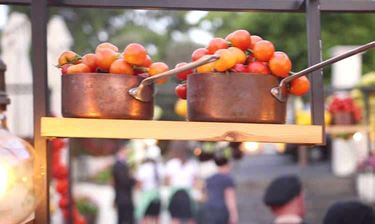 צפו: כשאולם האירועים הופך ליער טרופי 3