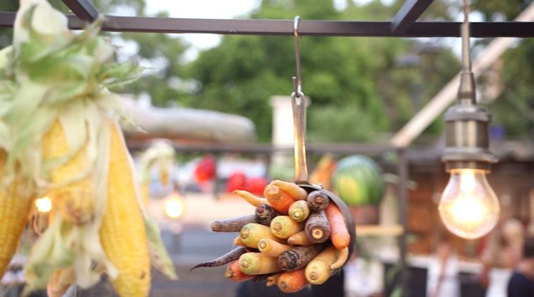 צפו: כשאולם האירועים הופך ליער טרופי 2