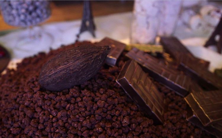 צפו: כשאולם האירועים הופך ליער טרופי 19