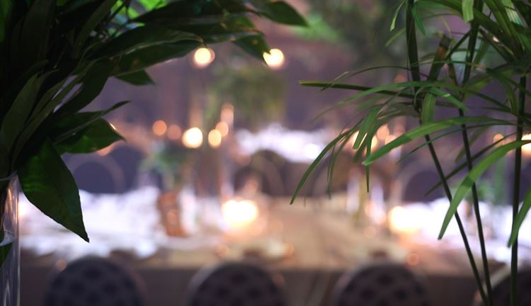 צפו: כשאולם האירועים הופך ליער טרופי 12