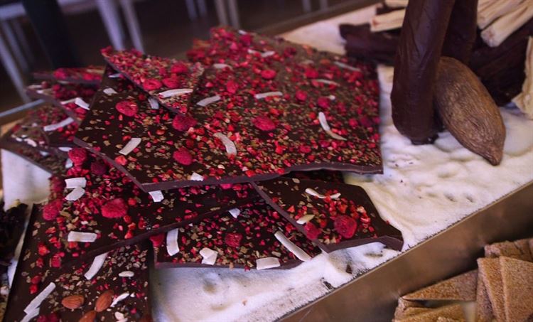 צפו: כשאולם האירועים הופך ליער טרופי 18