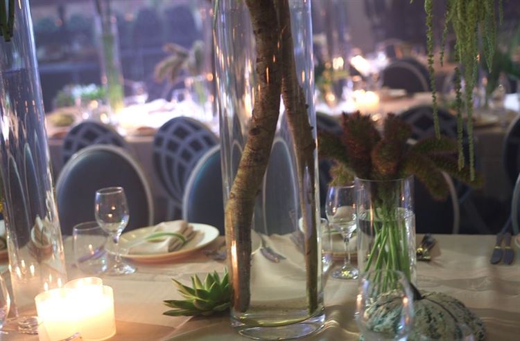 צפו: כשאולם האירועים הופך ליער טרופי 9