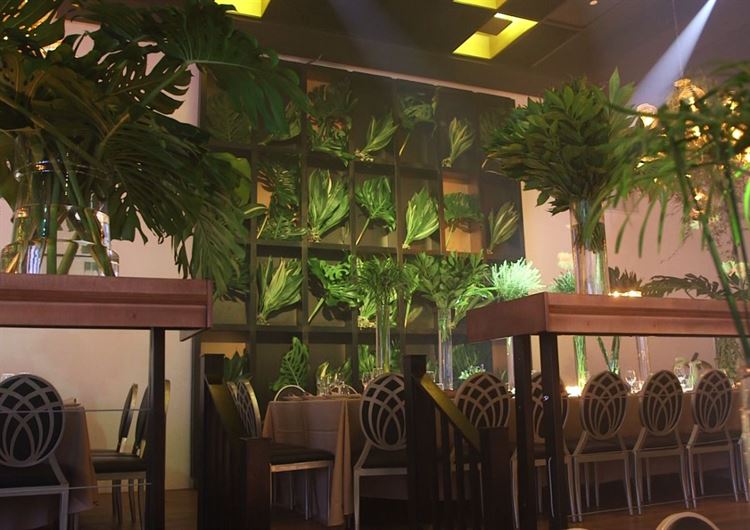 צפו: כשאולם האירועים הופך ליער טרופי 11