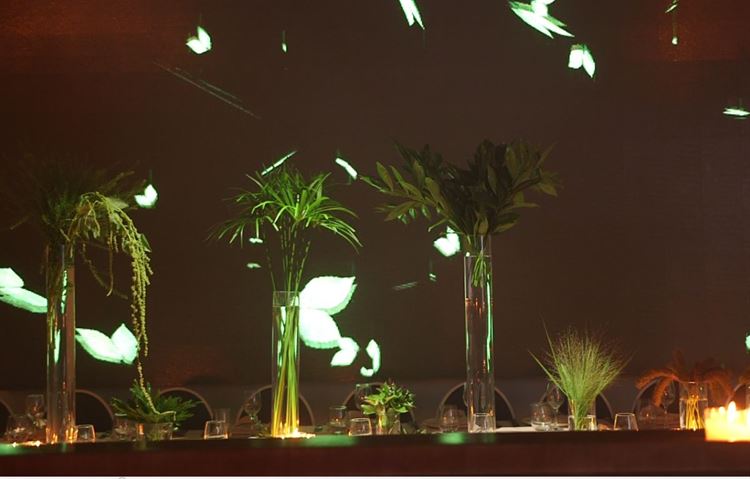 צפו: כשאולם האירועים הופך ליער טרופי 10