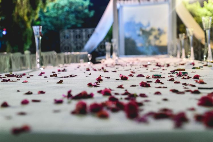 חתונה מהסרטים: גם שודדי הקאריביים היו שם 8