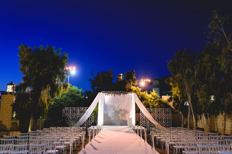 חתונה מהסרטים: גם שודדי הקאריביים היו שם 9