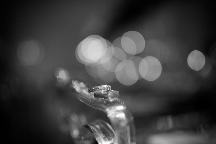 חתונה מהסרטים: גם שודדי הקאריביים היו שם 26