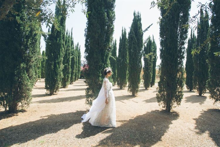 כשסטייל וקסם נפגשים: חתונת השטח הכי יפה שתראו 9