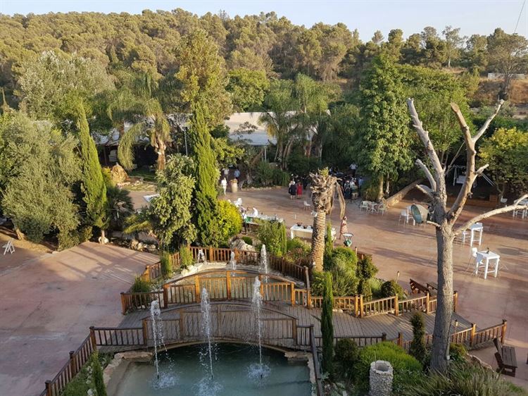 לפני שהעונה החמה נגמרת: חתונה בדקה ה-90 9