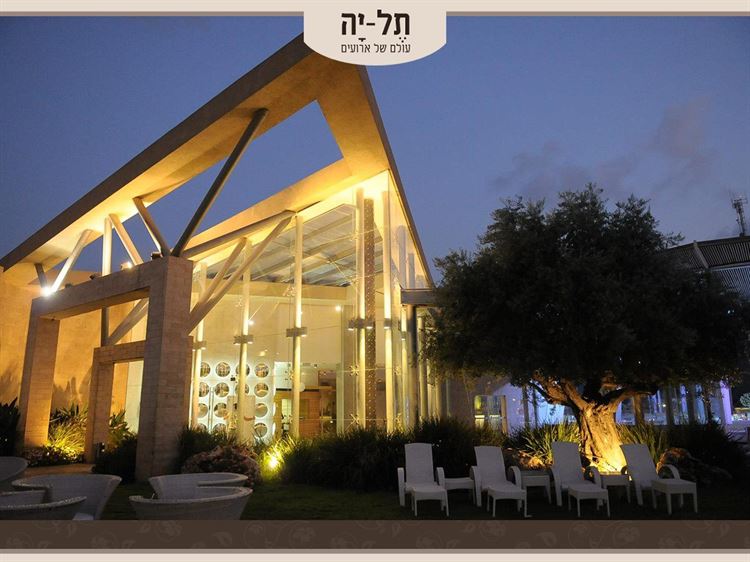 לפני שהעונה החמה נגמרת: חתונה בדקה ה-90 14