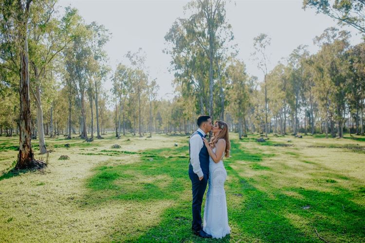 מנת השווארמה שהפכה לסיפור אהבה 4