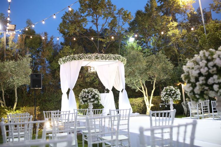 מנת השווארמה שהפכה לסיפור אהבה 14