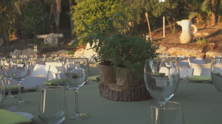 סוד הקסם של גן האירועים 'בצלע ההר' 6