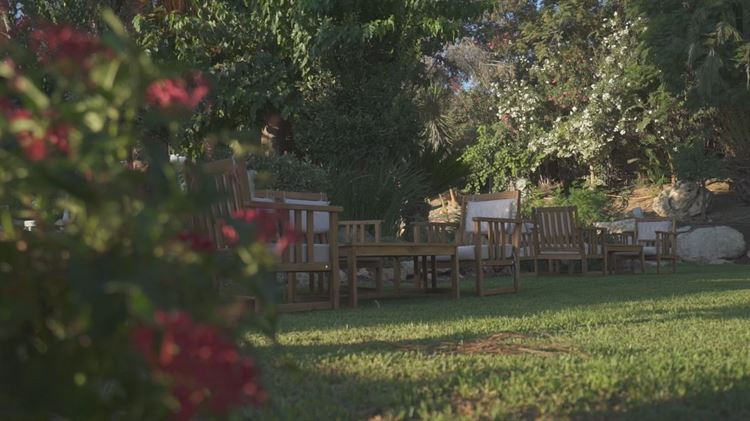 סוד הקסם של גן האירועים 'בצלע ההר' 11