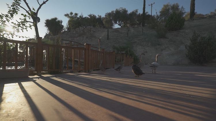 סוד הקסם של גן האירועים 'בצלע ההר' 19