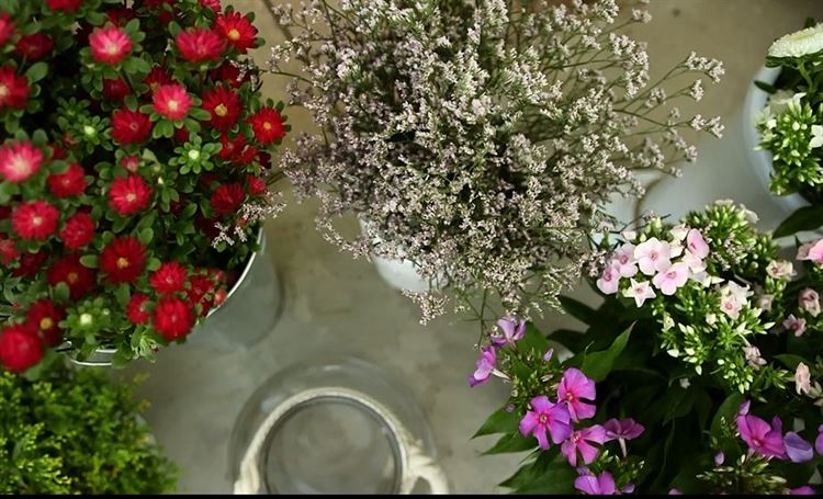 מתחם האירועים קסאנאדו בעיצוב חדש ומפתיע 8