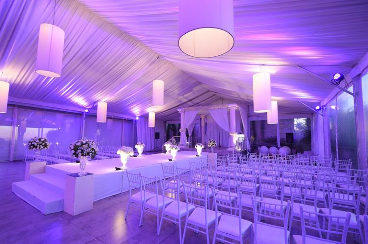 המפתיע ממפתיע פתור: הצעת נישואין עם טוויסט 14