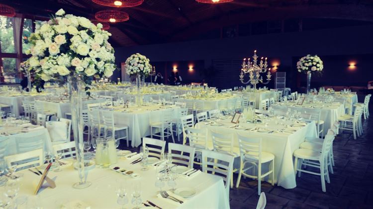 צפו: פיסת גן העדן הכי פסטורלית בשרון 7