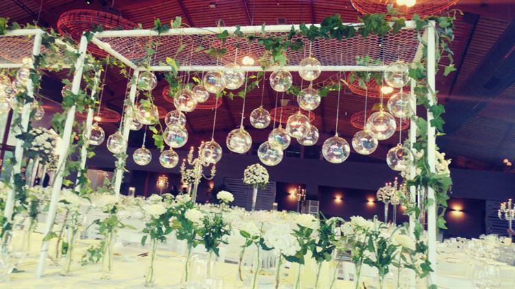 צפו: פיסת גן העדן הכי פסטורלית בשרון 8