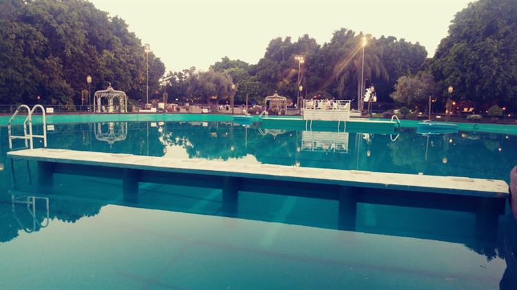 צפו: פיסת גן העדן הכי פסטורלית בשרון 12