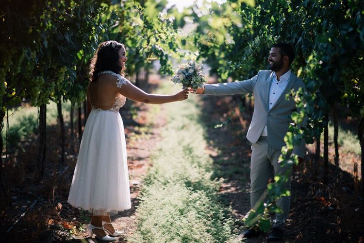 מכבי חיפה לאורך כל החופה 3