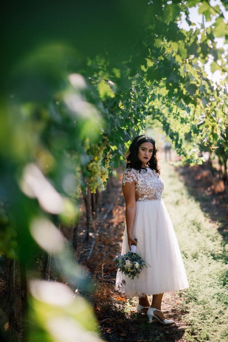 מכבי חיפה לאורך כל החופה 4