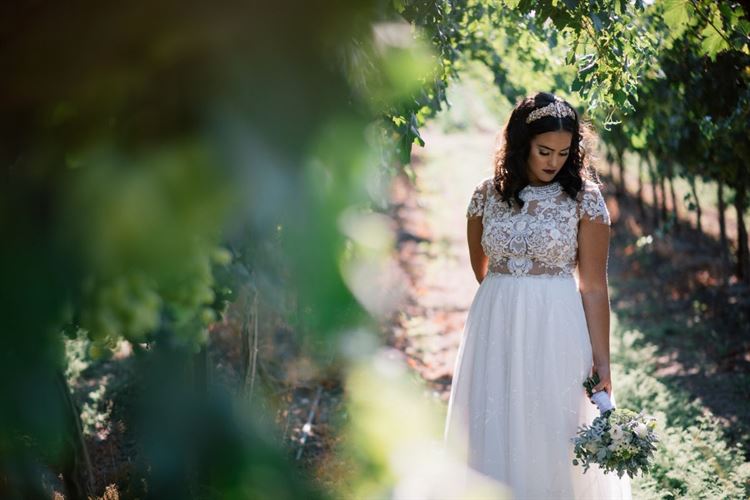 מכבי חיפה לאורך כל החופה 5