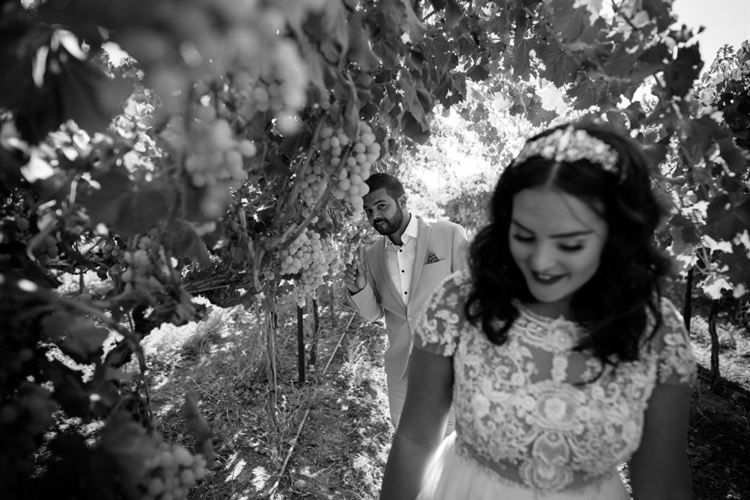 מכבי חיפה לאורך כל החופה 6