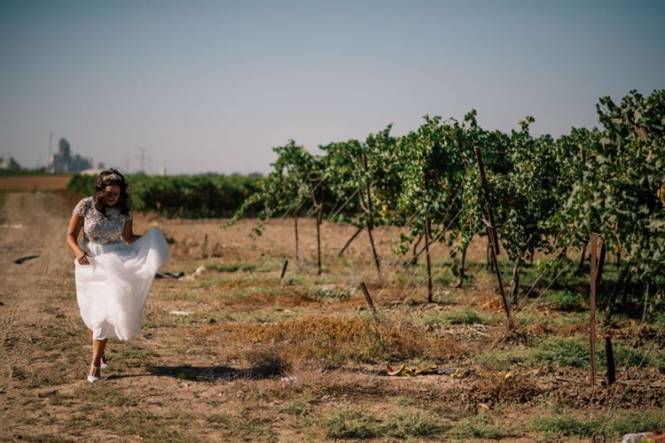 מכבי חיפה לאורך כל החופה 13