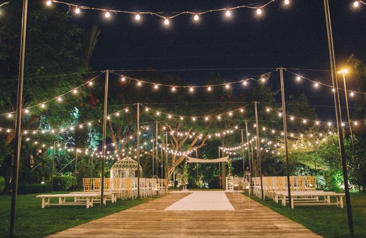 קשר מעוצב: חתונת פפיונים לוהטת במיוחד 20