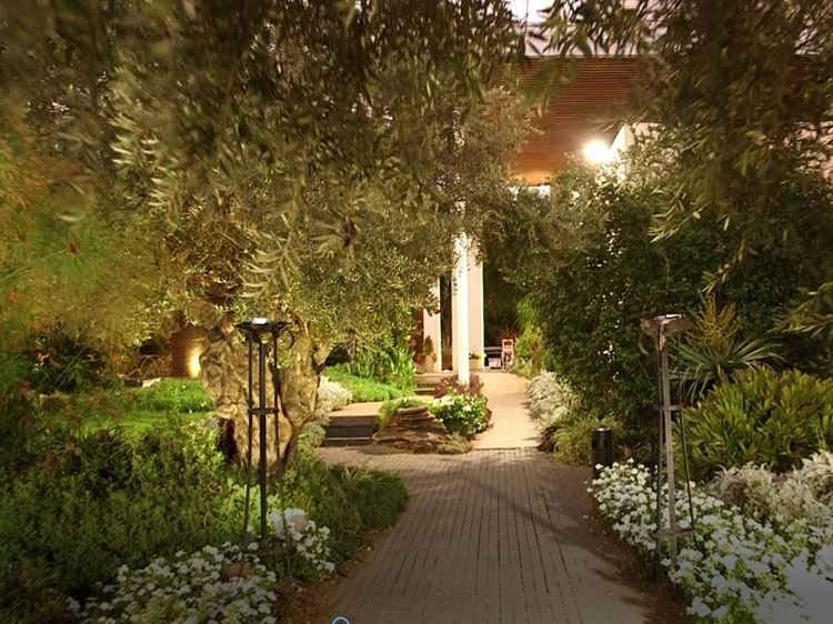 צפו: פרדס נצחי בשם טופ דוראן 3