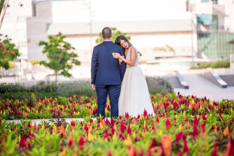 החתן והכלה שמתראים רק פעם בשבוע 12