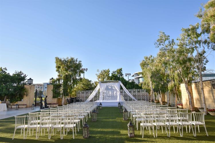 החתן והכלה שמתראים רק פעם בשבוע 15