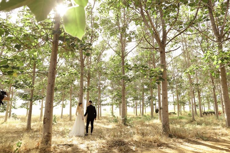 צחקנו מספיק: הסטנד אפ שלא נגמר 5