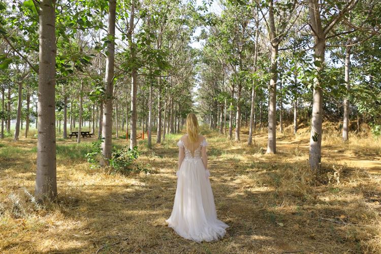 צחקנו מספיק: הסטנד אפ שלא נגמר 7