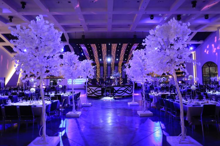 צחקנו מספיק: הסטנד אפ שלא נגמר 19